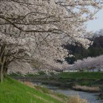 歯並びと噛み合わせ
