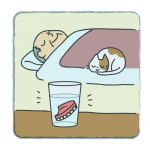 義歯の取り扱いについて