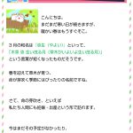 赤ちゃんと歯周病