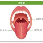 味覚