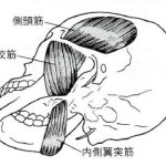 「 歯を守るための力のコントロール Ⅺ 」